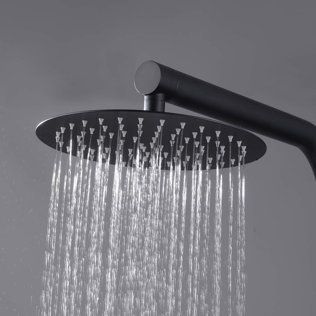 316 Stainless Steel Outdoor Shower with 10-Inch Rain Shower Head and Handheld Sprayer