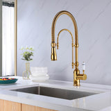 Single Handle High Arc Swiveling Dual-Mode Pull Down Sprayer Kitchen Sink Faucet RB0836