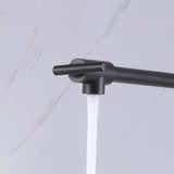 Pot Filler Faucet Wall Mount Kitchen Faucet Dual Stretchable Joint Folding Swing Arm RB1013