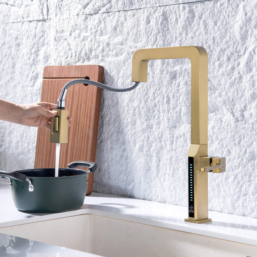 Temperature Display Kitchen Faucet with Dual Spray Pull Down Head
