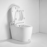 Smart Toilet with Auto Open Lid, Heated Seat & Jet Flush