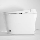 Smart Toilet with Auto Open Lid, Heated Seat & Jet Flush
