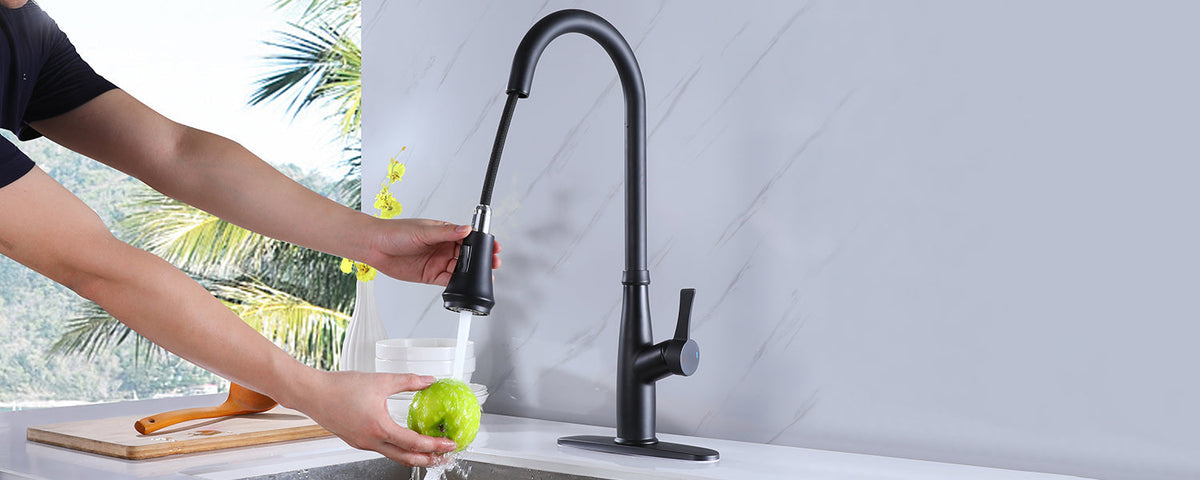 Kitchen Sink Faucet with Pull Down Sprayer