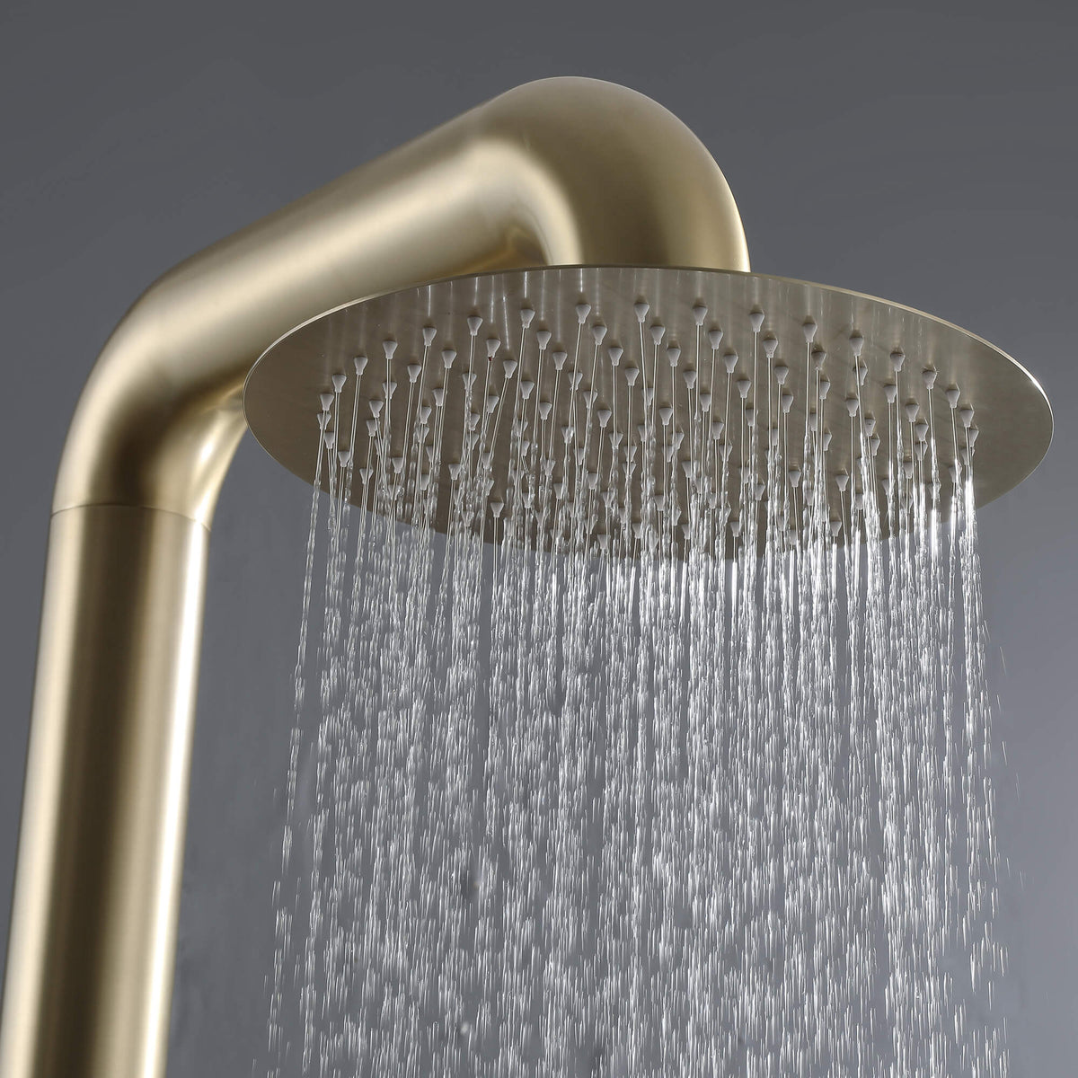 Freestanding Stainless Steel Outdoor Shower with Handheld Shower & Rain Head