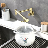 Wall-Mounted Pot Filler Faucet with Dual Swing Arm for Stove Filling