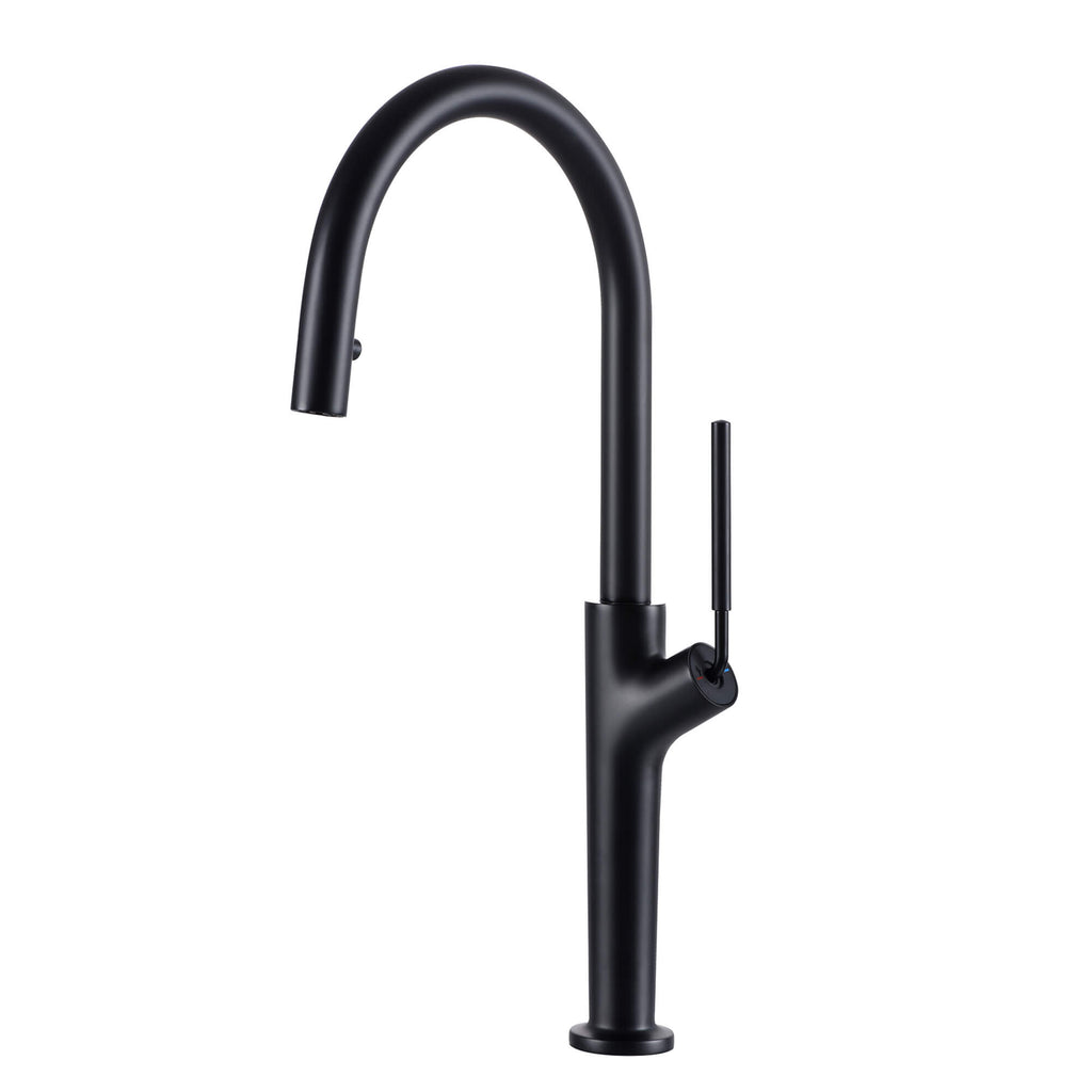  Kitchen Faucet With Pull Down Sprayer