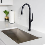 Kitchen Faucet With Pull Down Sprayer Beside Sink