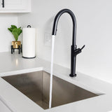 Kitchen Faucet With Pull Down Sprayer Opening