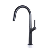 single hole kitchen faucet