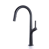 Hot And Cold Mix Pull Down Sprayer Kitchen Faucet Matte Black JK0212