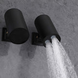 shower head in spary model