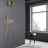 gold shower system in gary bathroom