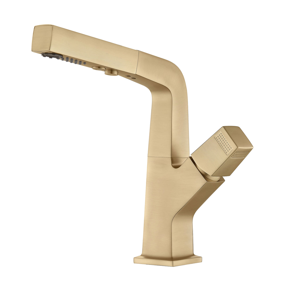 Pull-Out Bathroom Faucet with Dual-Mode Spray and Single Handle