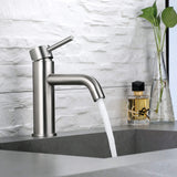 Bathroom Sink Faucet Single Handle Basin Mixer Tap Brushed Nickel JK0309