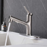 Bathroom Sink Faucet with Pull-Out Spray and Hot & Cold Functionality