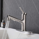 Bathroom Sink Faucet with Pull-Out Spray and Hot & Cold Functionality