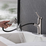 Bathroom Sink Faucet with Pull-Out Spray and Hot & Cold Functionality