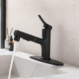 Bathroom Sink Faucet with Pull-Out Spray and Hot & Cold Functionality