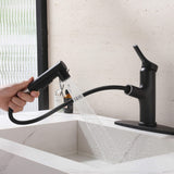 Bathroom Sink Faucet with Pull-Out Spray and Hot & Cold Functionality
