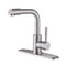 Brushed Nickel