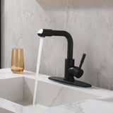 Single-Handle Bathroom Faucet with 360° Rotatable Spout