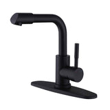 Single-Handle Bathroom Faucet with 360° Rotatable Spout