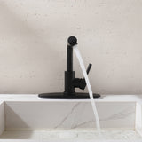 Single-Handle Bathroom Faucet with 360° Rotatable Spout