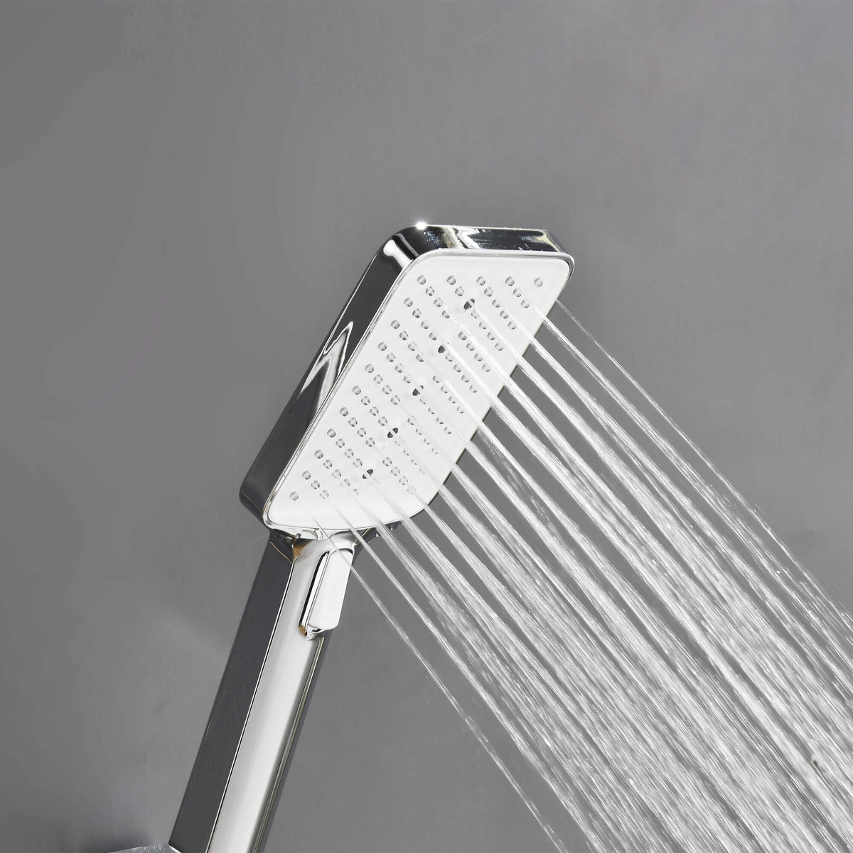 Rain Shower Head and Multi-Function Handheld Combo 304 Stainless Steel