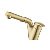 Pull Out Bathroom Faucet Modern Single Handle Dual Spray Extendable Hose Brushed Gold