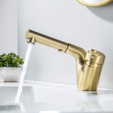 Pull Out Bathroom Faucet Modern Single Handle Dual Spray Extendable Hose Brushed Gold
