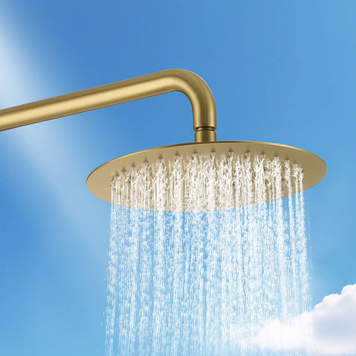 304 Stainless Steel Outdoor Shower Adjustable Height Freestanding Shower with Rainfall & Handheld Head
