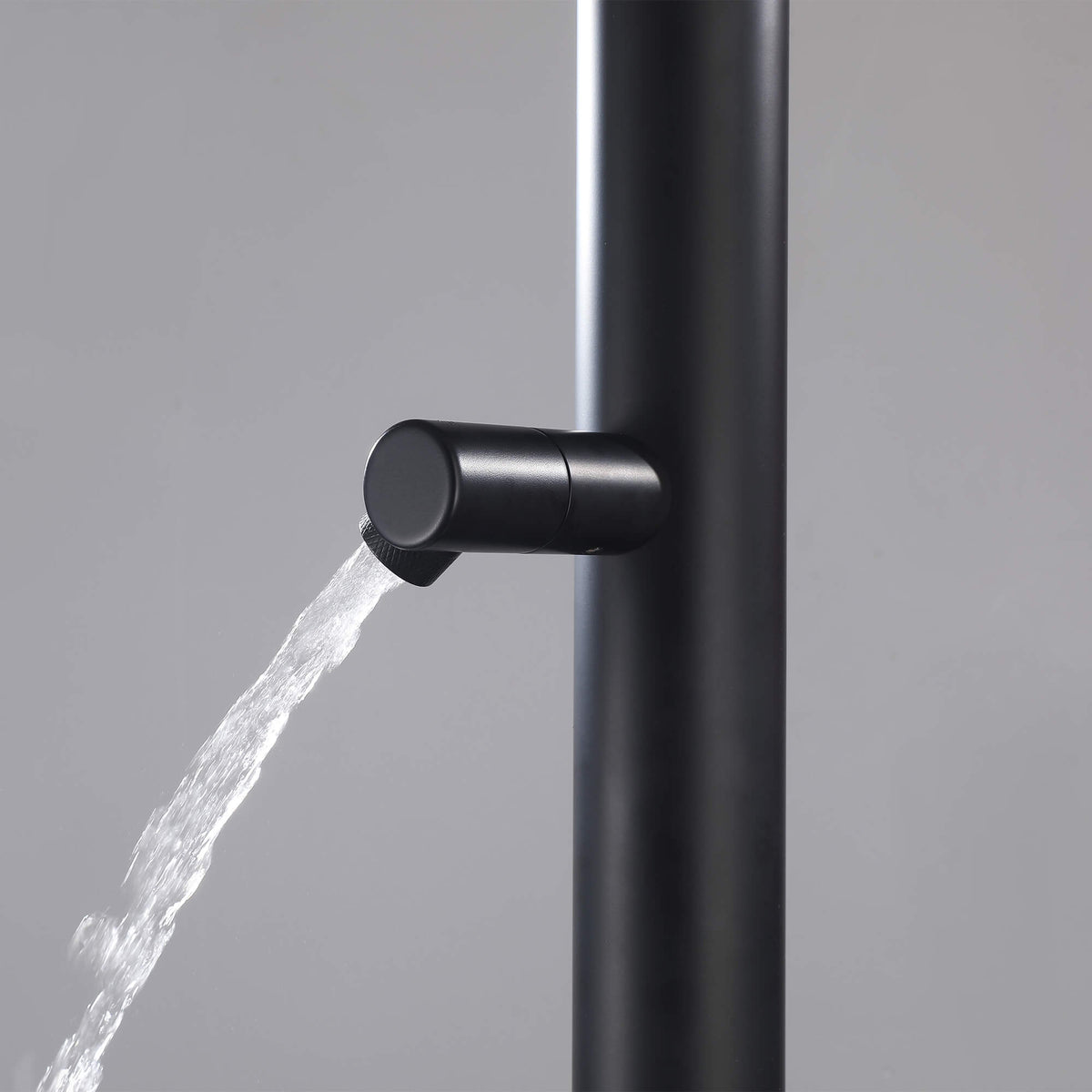 Freestanding 316 Stainless Steel Outdoor Shower with 10-Inch Rain Head & 360° Swivel Rinse Spout