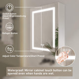 LED Bathroom Mirror Cabinet