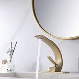 Curved Arch Spout Faucet with Drain Set
