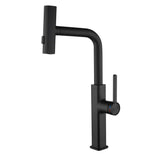 kitchen faucet with pull-down sprayer matte black