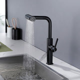 Pull Out Kitchen Sink Faucet with Flexible 3-Function & 360°Swivel Sprayhead LYJ0039