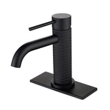 Functional Single-Handle Bathroom Sink Faucet with Cover Plate
