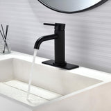 Functional Single-Handle Bathroom Sink Faucet with Cover Plate