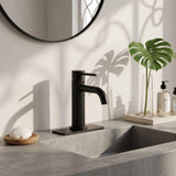 Functional Single-Handle Bathroom Sink Faucet with Cover Plate