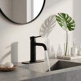 Functional Single-Handle Bathroom Sink Faucet with Cover Plate