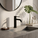 Functional Single-Handle Bathroom Sink Faucet with Cover Plate