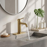 Functional Single-Handle Bathroom Sink Faucet with Cover Plate