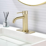 Functional Single-Handle Bathroom Sink Faucet with Cover Plate