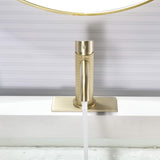 Functional Single-Handle Bathroom Sink Faucet with Cover Plate