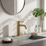 Functional Single-Handle Bathroom Sink Faucet with Cover Plate