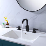 Two Handle 8 Inch Widespread Bathroom Sink Faucet RB0889