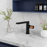 Extended Straight Spout Faucet with Minimalist Handle