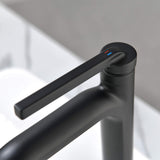 Modern Single-Handle Bathroom Sink Faucet with Stylish Design