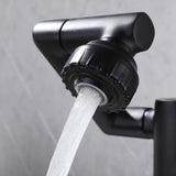 Single Handle Bathroom Sink Faucet with Sprayer Modern Basin Vanity Tap Matte Black RB1197