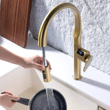 Digital Display Kitchen Faucet Single Handle Sink Faucet with 3 Function Pull Down Sprayer RB1260